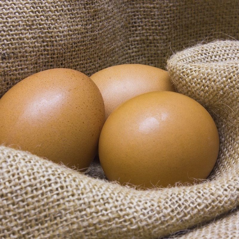 Des aliments favorisant la fertilité