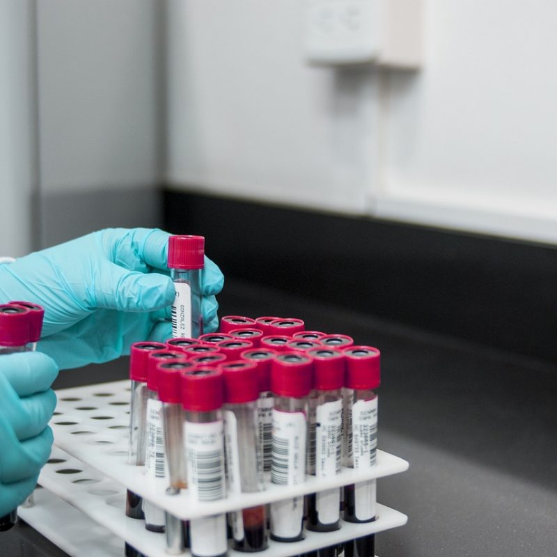 L'importance du test de paternité