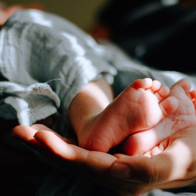 Les légumes pour les bébés