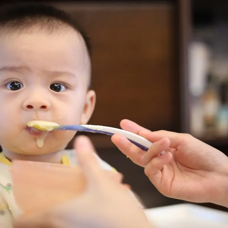 Les aliments pour bébé