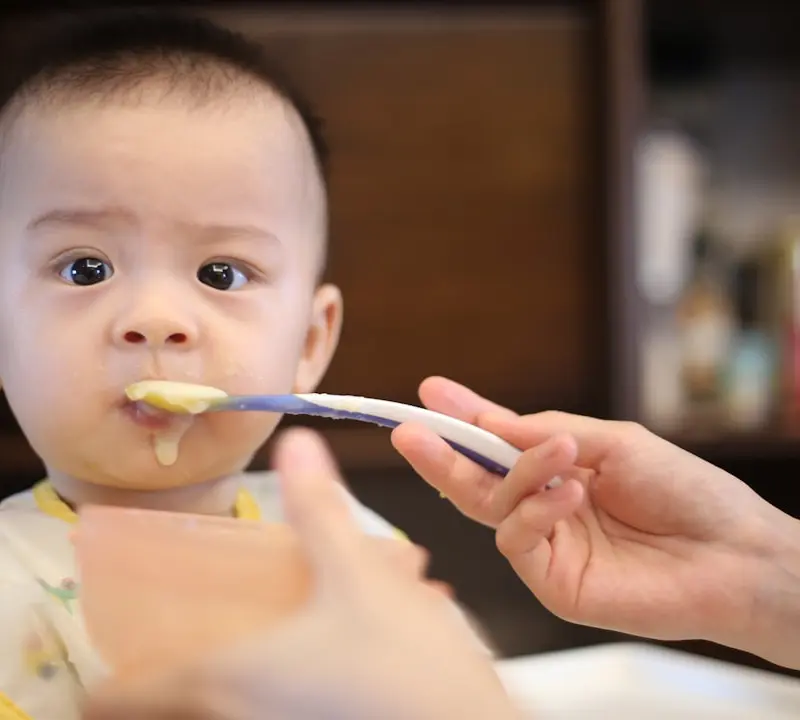 Diversification alimentaire 4 mois bébé allaité : guide 2026